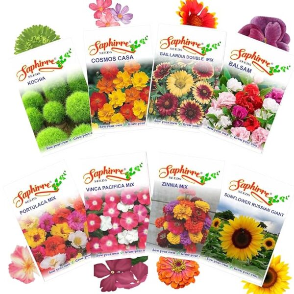 Saphirre Seeds Easy to Grow 8 Flower Seeds Combo| Seeds for Home Garden | Balsam, Kochia, Cosmos, Vinca, Zinnia, Gaillardia, Sunflower, Portulaca | 500+ Seeds | Best Gift for Gardeners